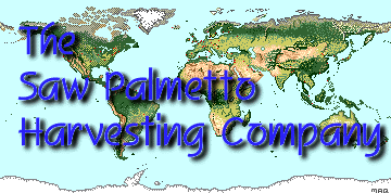 Saw Palmetto Harvesting Company